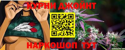 индика Наро-Фоминск