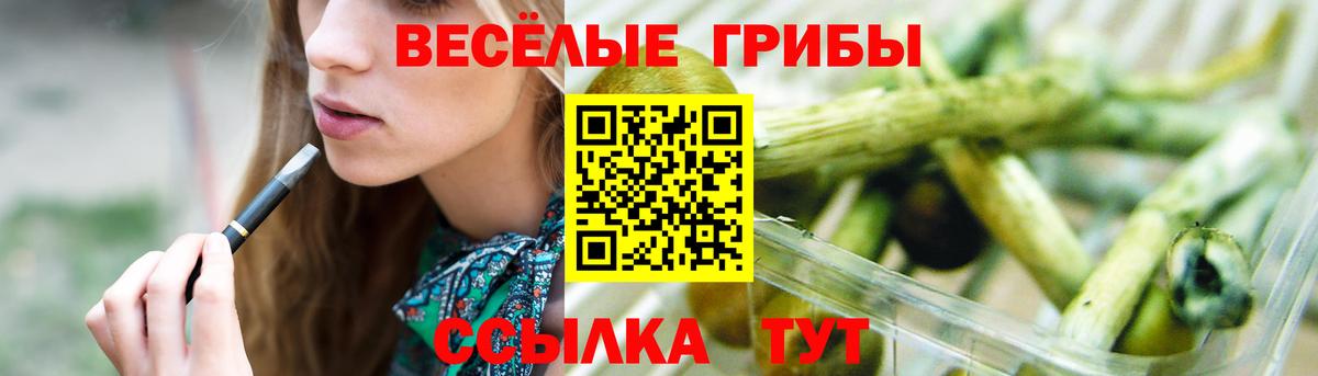 Галлюциногенные грибы Magic Shrooms  Псилоцибиновые грибы Cubensis  Вход с VPN  Салехард 